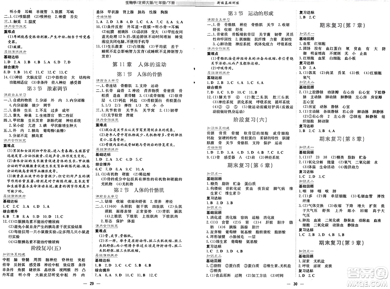 安徽教育出版社2025年春新編基礎(chǔ)訓(xùn)練七年級(jí)生物下冊北師大版答案