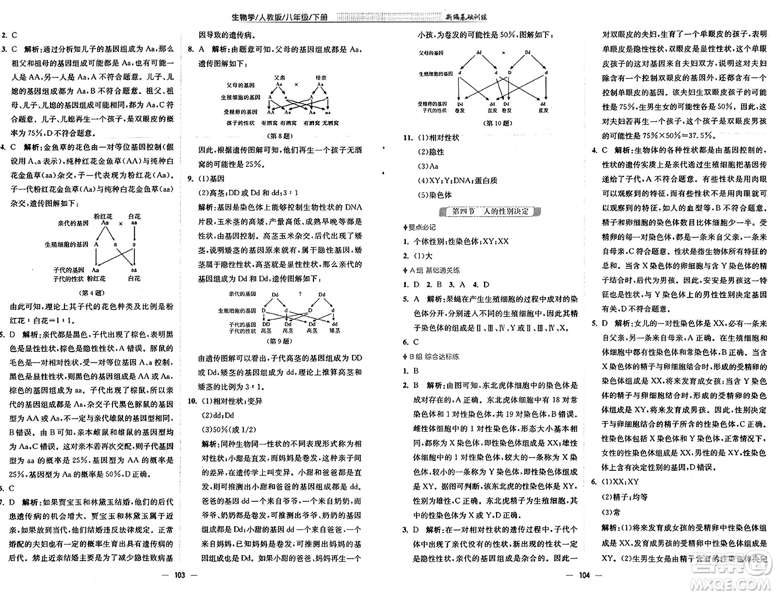 安徽教育出版社2025年春新編基礎(chǔ)訓(xùn)練八年級生物下冊人教版答案
