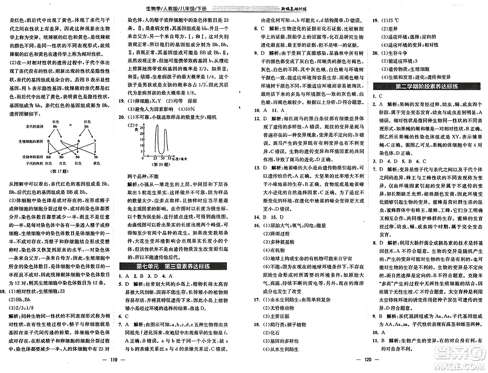 安徽教育出版社2025年春新編基礎(chǔ)訓(xùn)練八年級生物下冊人教版答案