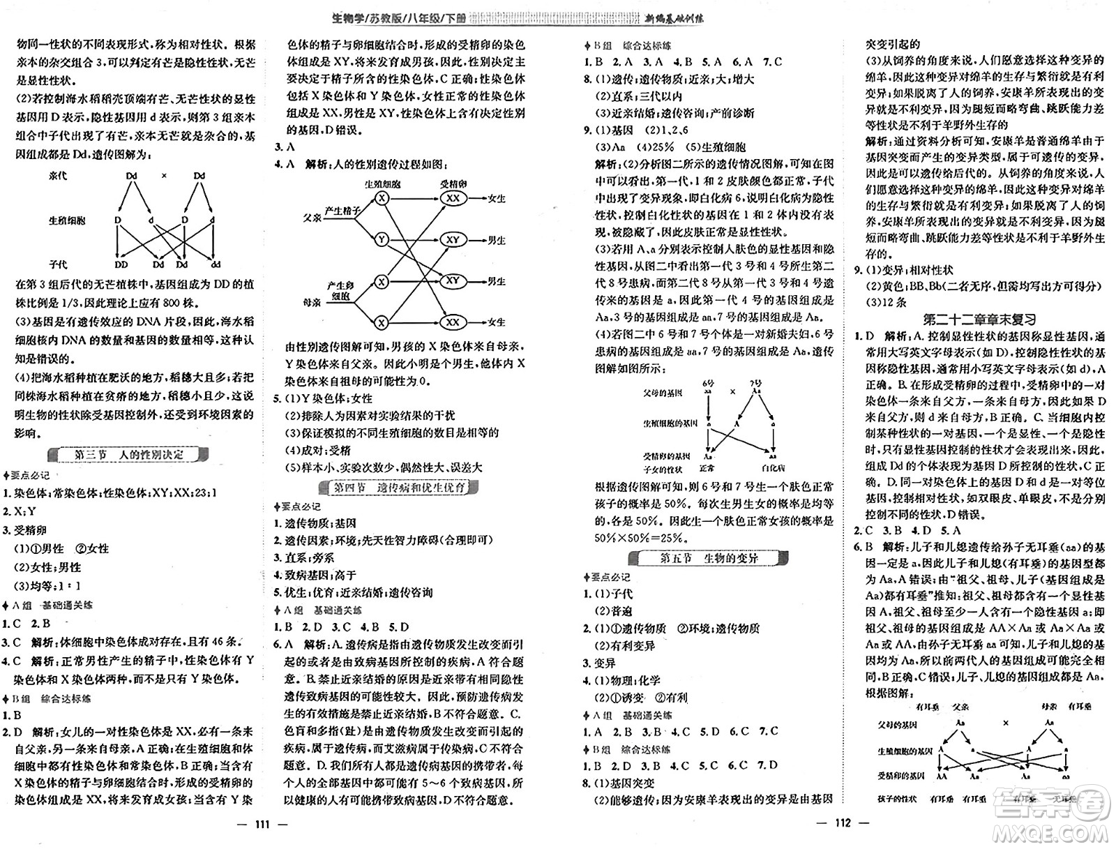 安徽教育出版社2025年春新編基礎(chǔ)訓(xùn)練八年級(jí)生物下冊(cè)蘇教版答案