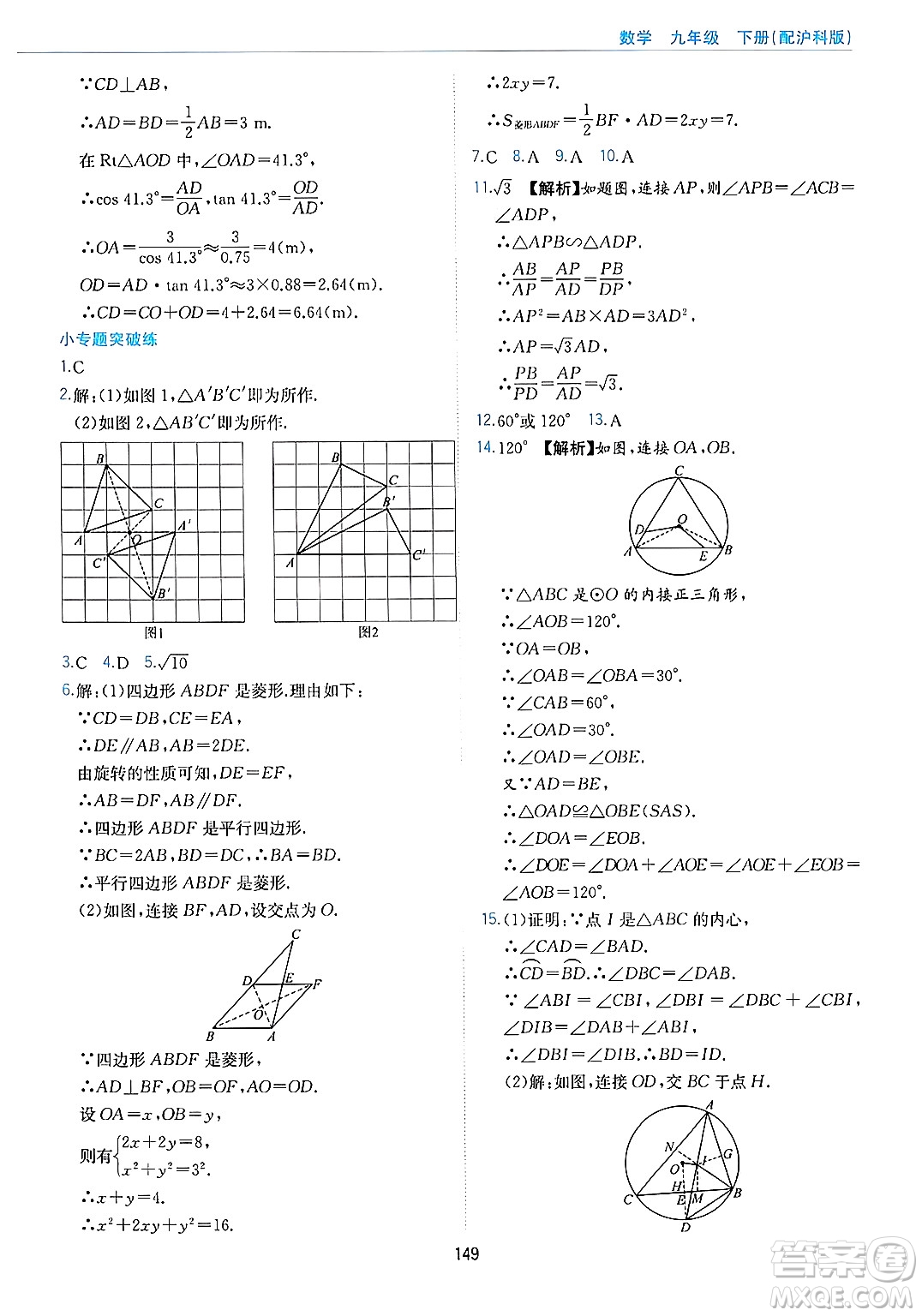 黃山出版社2025年春新編基礎(chǔ)訓(xùn)練九年級(jí)數(shù)學(xué)下冊(cè)滬科版答案
