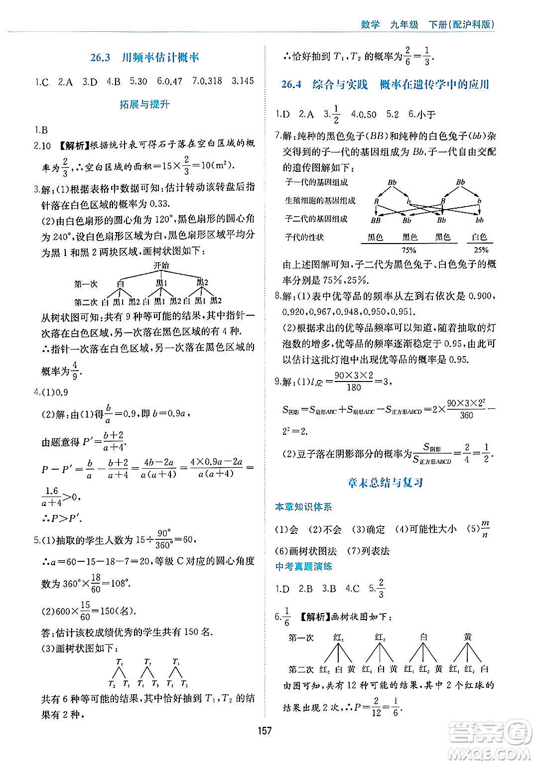 黃山出版社2025年春新編基礎(chǔ)訓(xùn)練九年級(jí)數(shù)學(xué)下冊(cè)滬科版答案