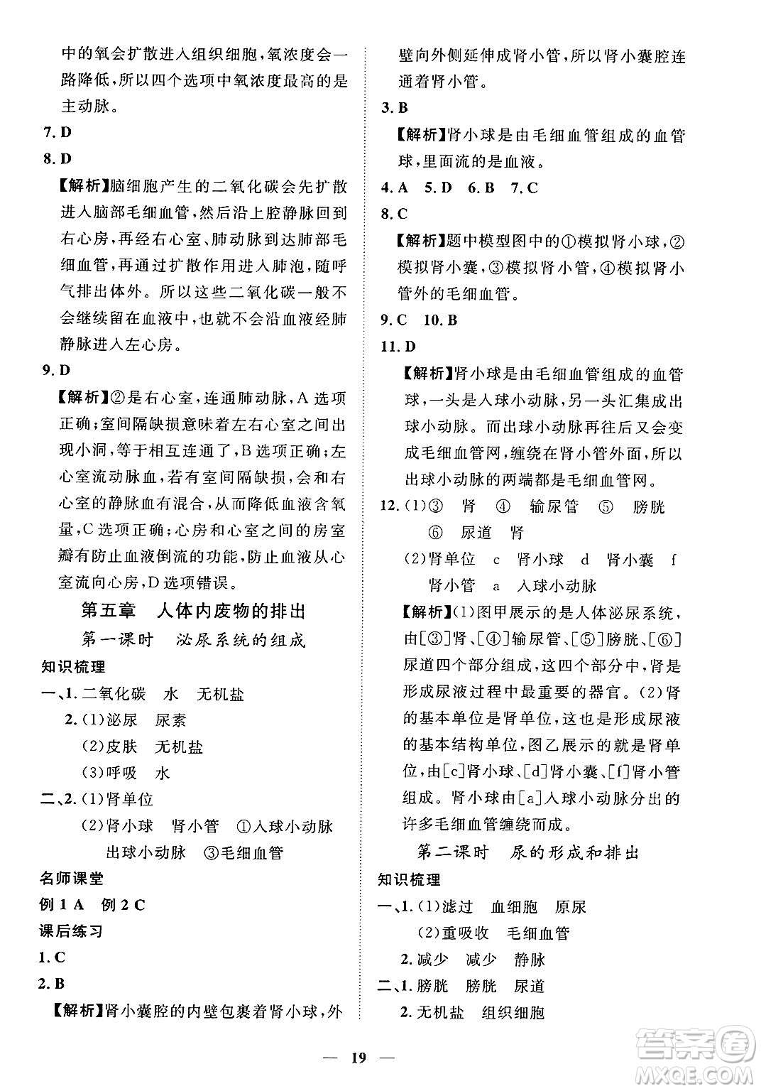 江西人民出版社2025年春一課一練創(chuàng)新練習七年級生物下冊人教版答案