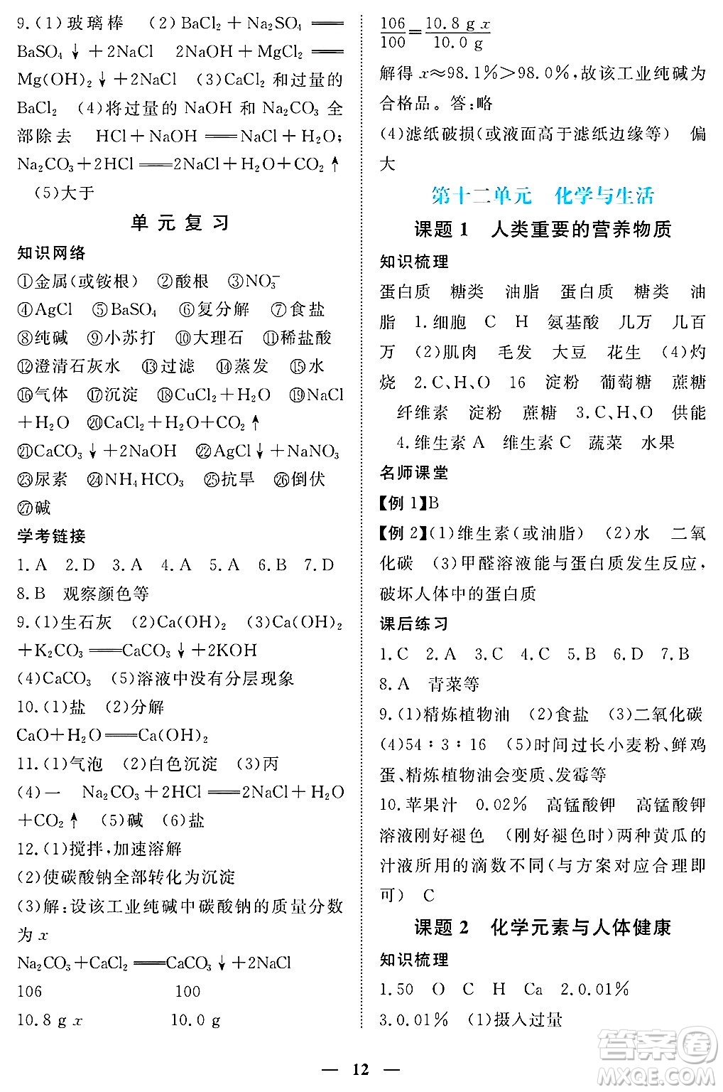江西人民出版社2025年春一課一練創(chuàng)新練習(xí)九年級化學(xué)下冊人教版答案
