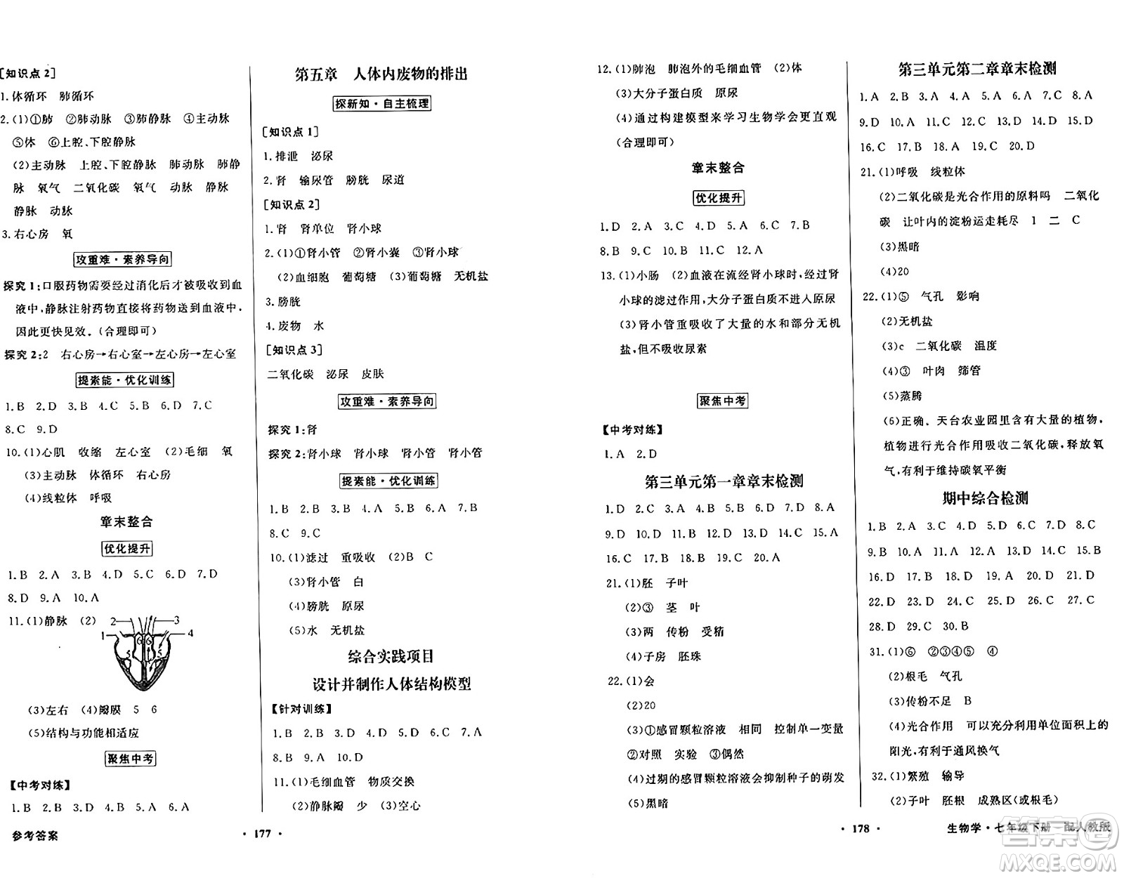 人民教育出版社2025年春百年學典同步導學與優(yōu)化訓練七年級生物下冊人教版答案