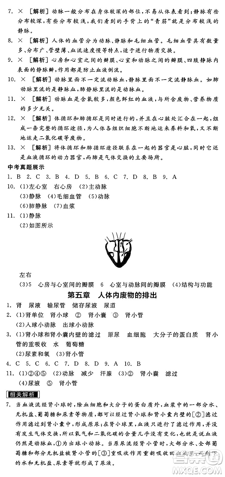 陽光出版社2025年春全品作業(yè)本七年級生物下冊人教版答案