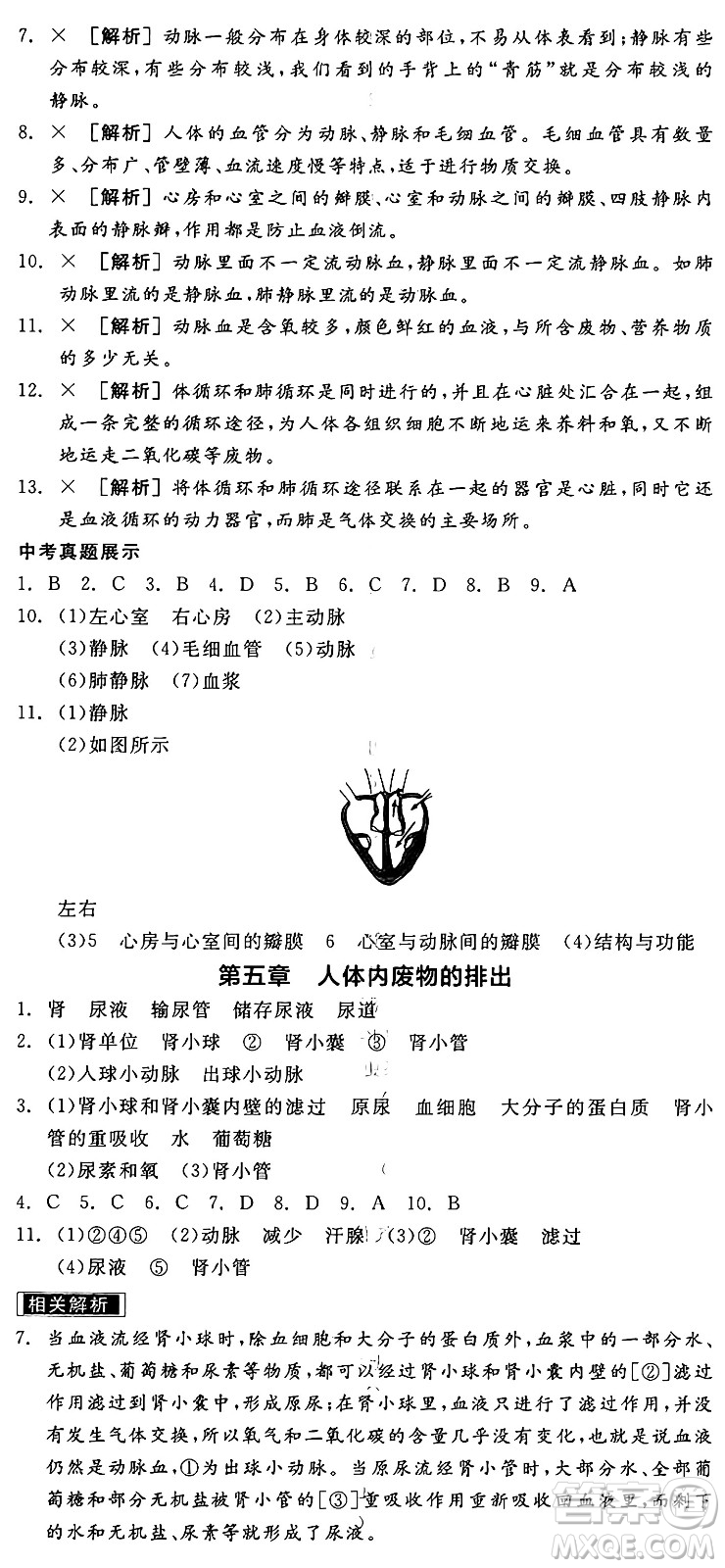 陽光出版社2025年春全品作業(yè)本七年級(jí)生物下冊(cè)人教版內(nèi)蒙古專版答案