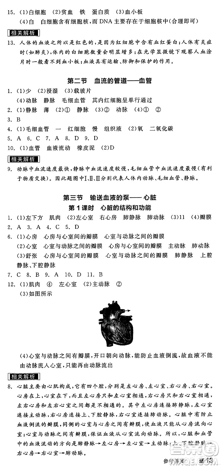 陽光出版社2025年春全品作業(yè)本七年級(jí)生物下冊(cè)人教版內(nèi)蒙古專版答案
