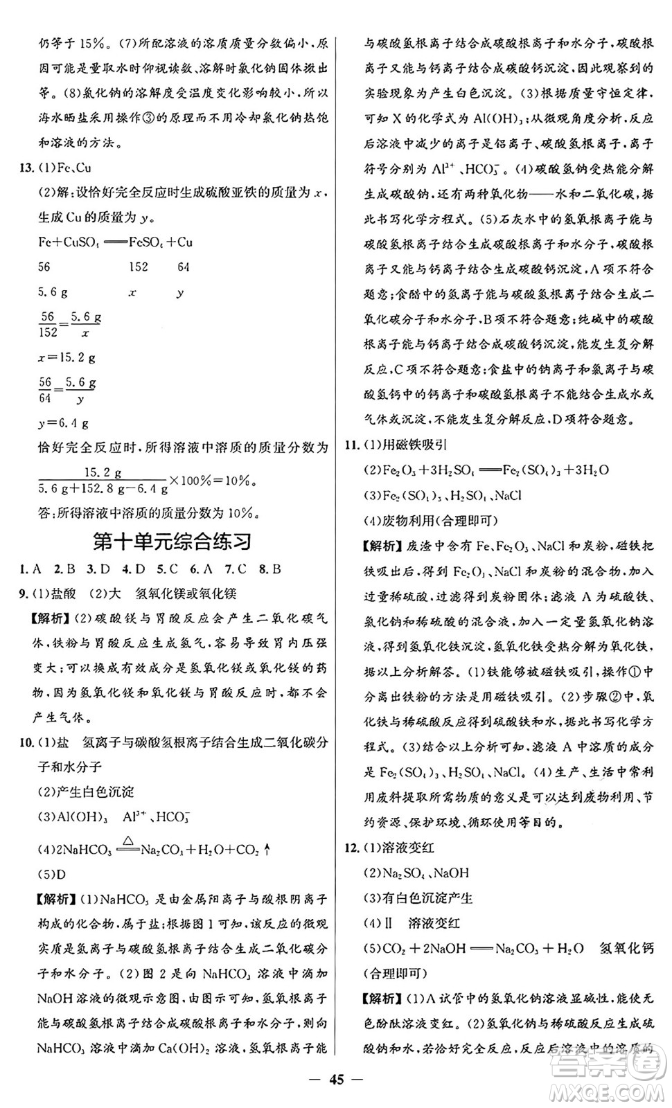 人民教育出版社2025年春同步解析與測評(píng)學(xué)練考九年級(jí)化學(xué)下冊(cè)人教版廣東專版答案