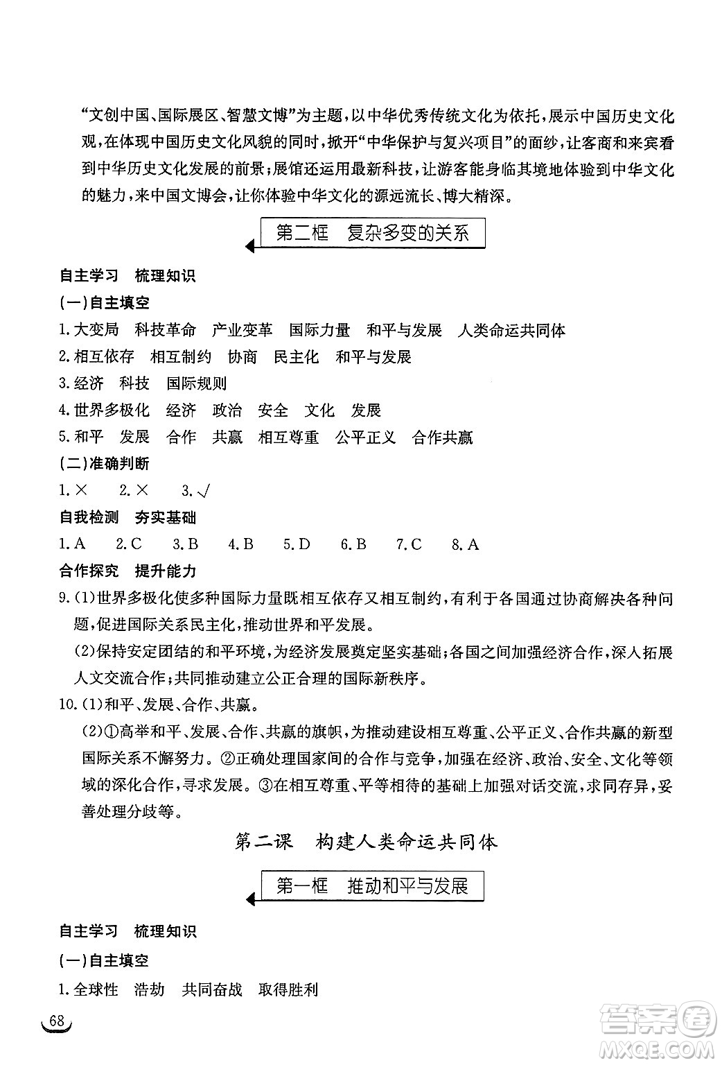 湖北教育出版社2025年春長江作業(yè)本同步練習冊九年級道德與法治下冊人教版答案