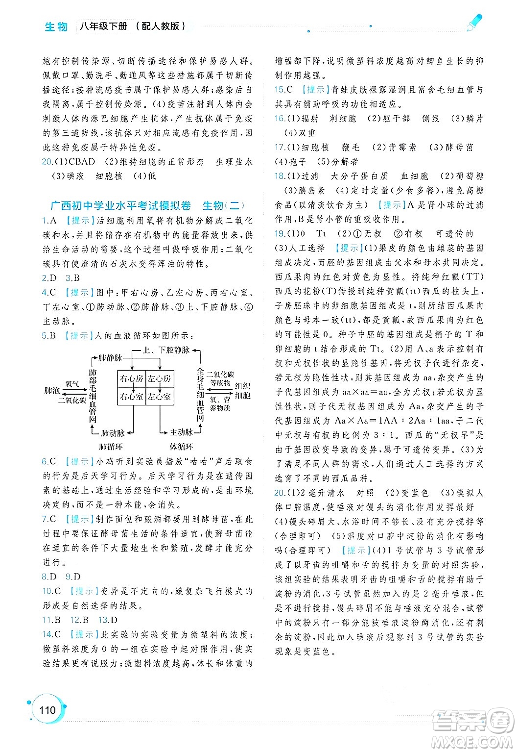 廣西師范大學出版社2025年春新課程學習與測評同步學習八年級生物下冊人教版答案