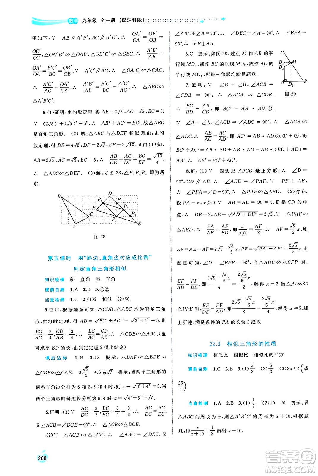 廣西師范大學(xué)出版社2025年春新課程學(xué)習(xí)與測(cè)評(píng)同步學(xué)習(xí)九年級(jí)數(shù)學(xué)下冊(cè)滬科版答案