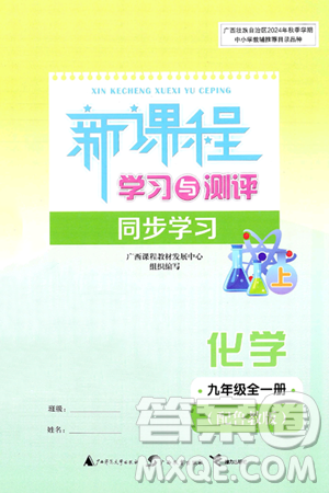 廣西師范大學出版社2025年春新課程學習與測評同步學習九年級化學下冊魯教版答案