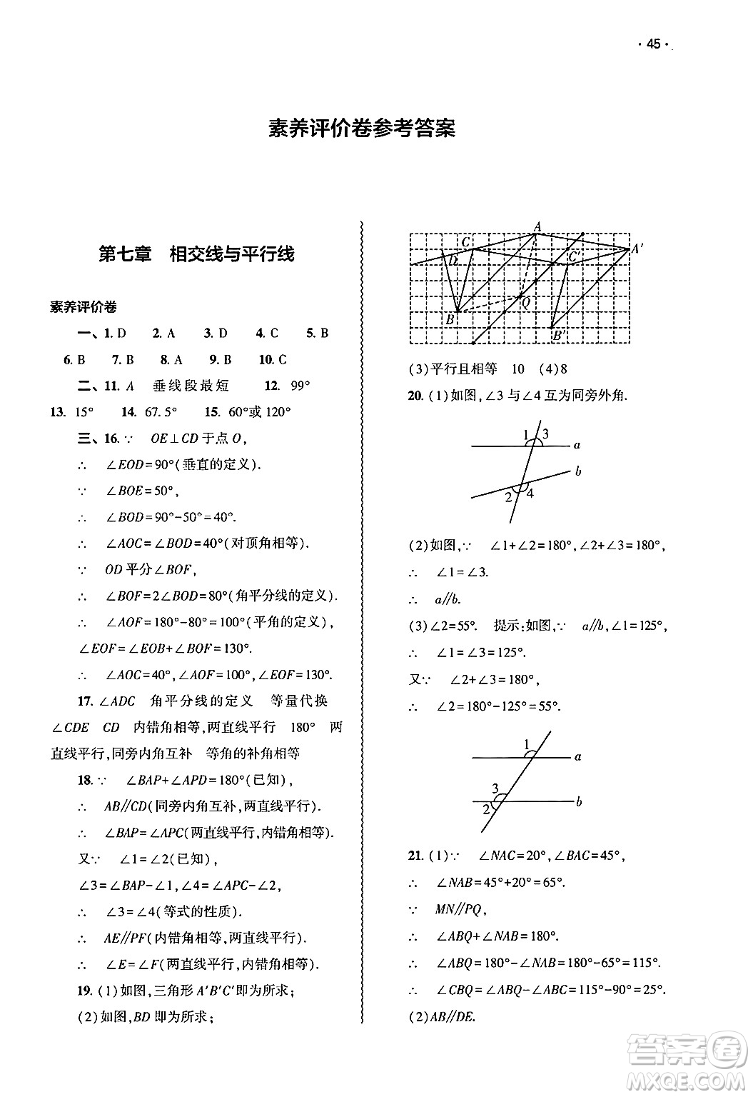 大象出版社2025年春基礎(chǔ)訓(xùn)練七年級(jí)數(shù)學(xué)下冊(cè)人教版答案