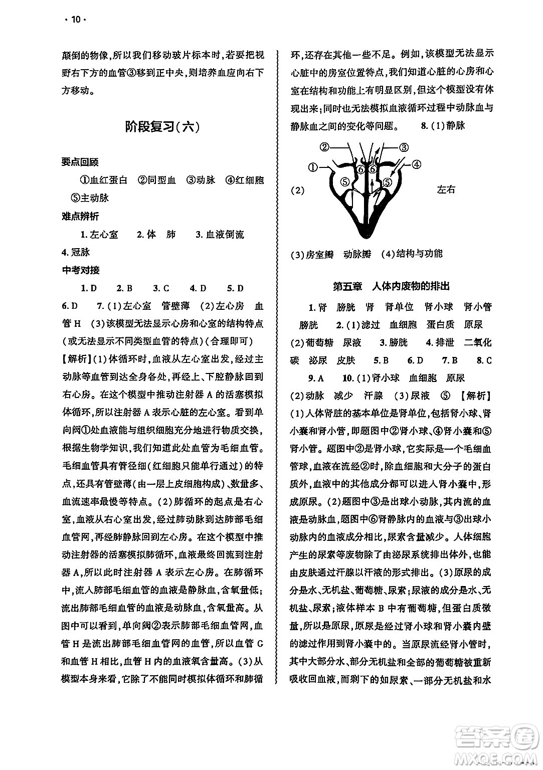 大象出版社2025年春基礎訓練七年級生物下冊人教版答案