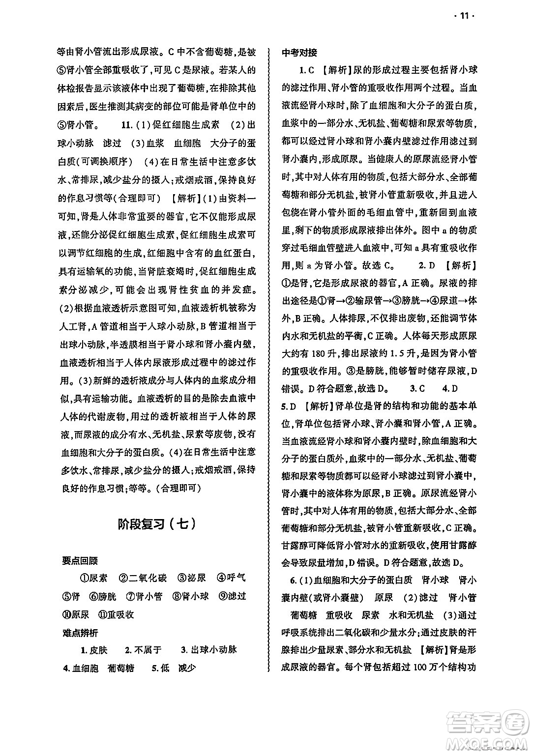 大象出版社2025年春基礎訓練七年級生物下冊人教版答案