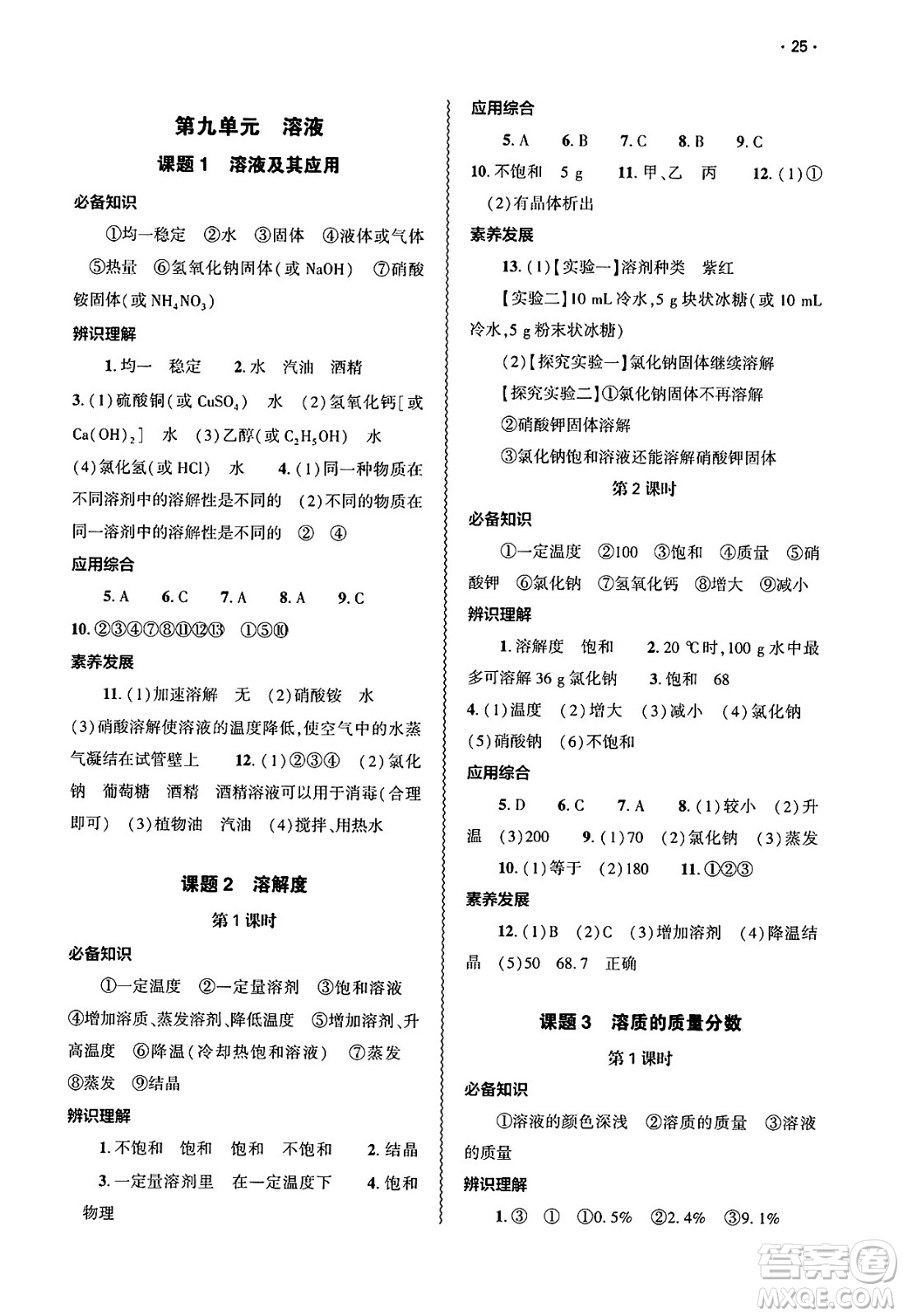 大象出版社2025年春基礎(chǔ)訓(xùn)練九年級(jí)化學(xué)下冊(cè)人教版答案