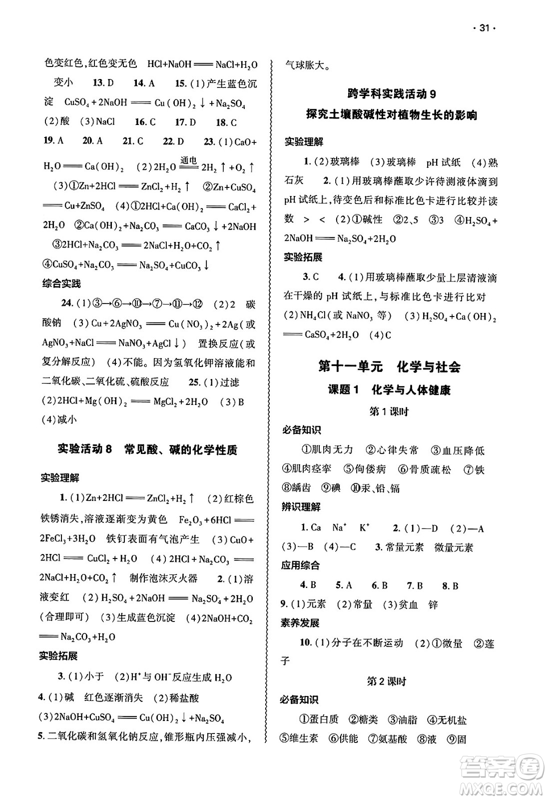 大象出版社2025年春基礎(chǔ)訓(xùn)練九年級(jí)化學(xué)下冊(cè)人教版答案