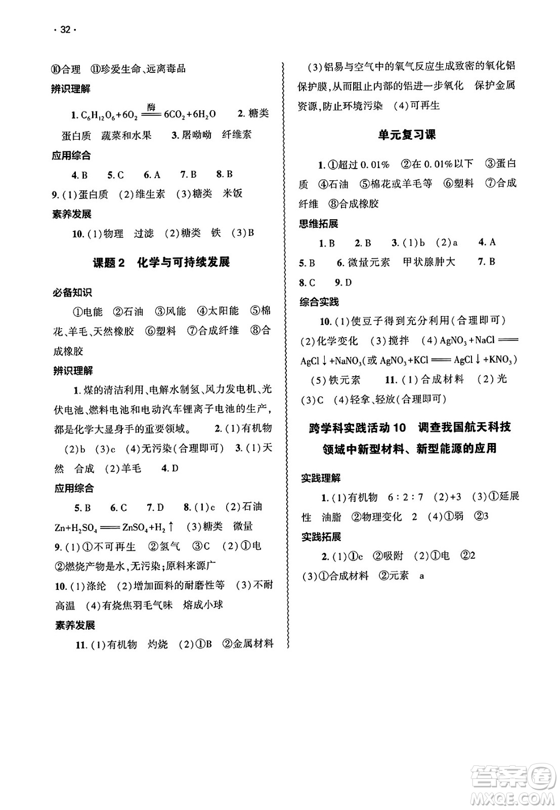 大象出版社2025年春基礎(chǔ)訓(xùn)練九年級(jí)化學(xué)下冊(cè)人教版答案
