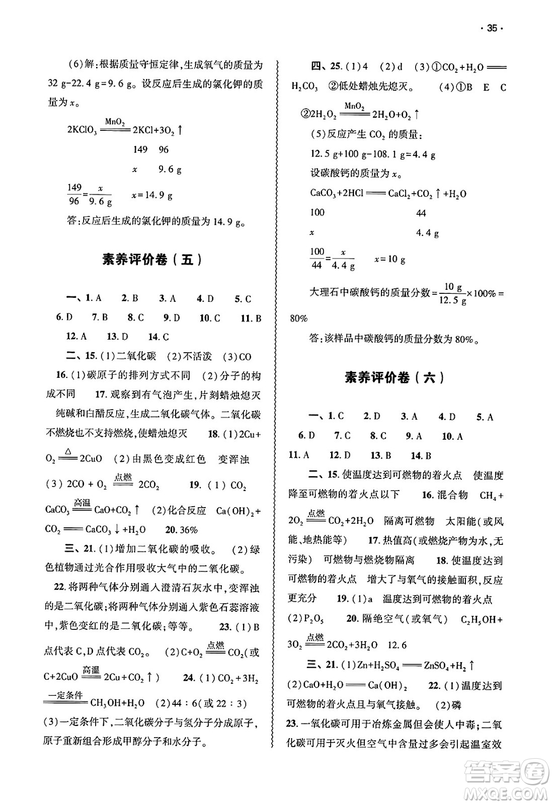 大象出版社2025年春基礎(chǔ)訓(xùn)練九年級(jí)化學(xué)下冊(cè)人教版答案