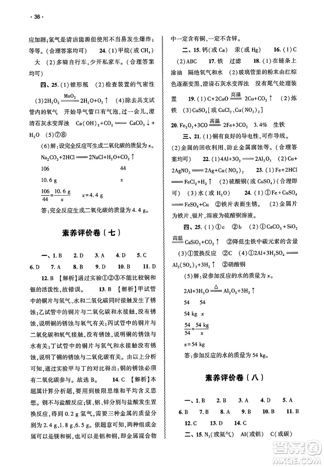 大象出版社2025年春基礎(chǔ)訓(xùn)練九年級(jí)化學(xué)下冊(cè)人教版答案