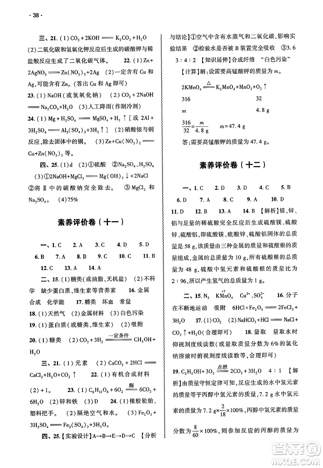 大象出版社2025年春基礎(chǔ)訓(xùn)練九年級(jí)化學(xué)下冊(cè)人教版答案