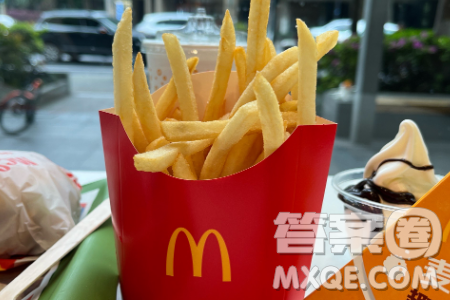 標準化科技化效率化麥當勞化材料作文800字