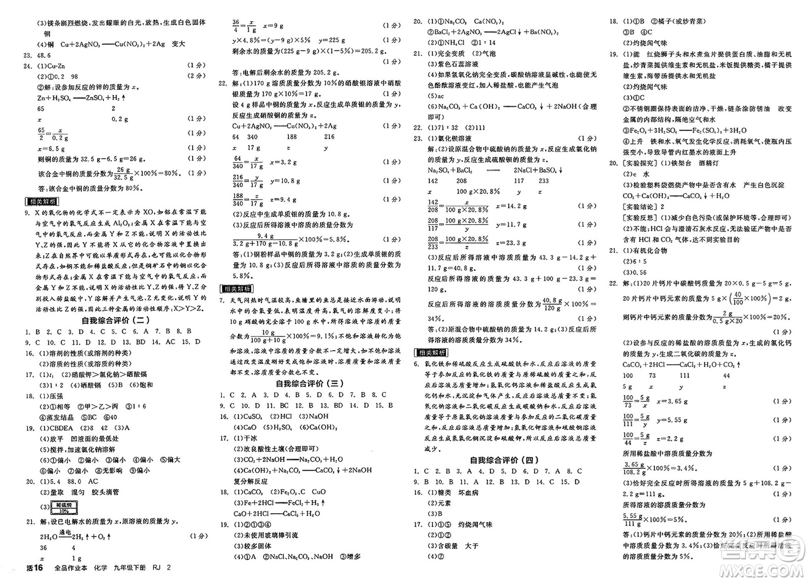 沈陽出版社2025年春全品作業(yè)本九年級化學下冊人教版天津專版答案