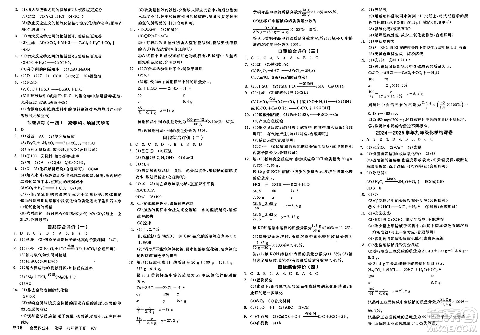 沈陽出版社2025年春全品作業(yè)本九年級化學(xué)下冊科粵版內(nèi)蒙古專版答案