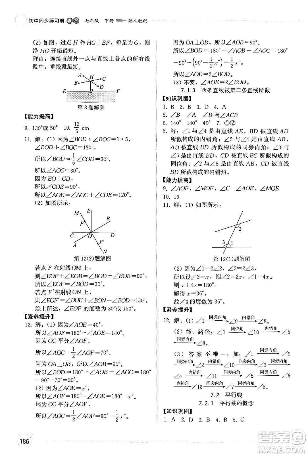 山東教育出版社2025年春初中同步練習(xí)冊七年級數(shù)學(xué)下冊人教版山東專版答案