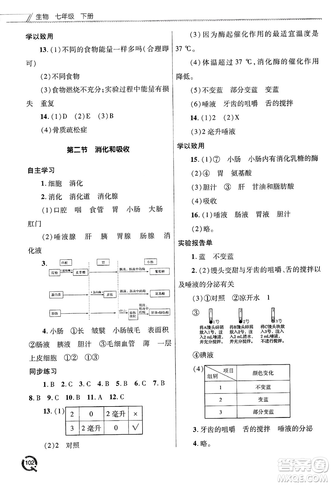 青島出版社2025年春初中同步練習冊七年級生物下冊人教版答案