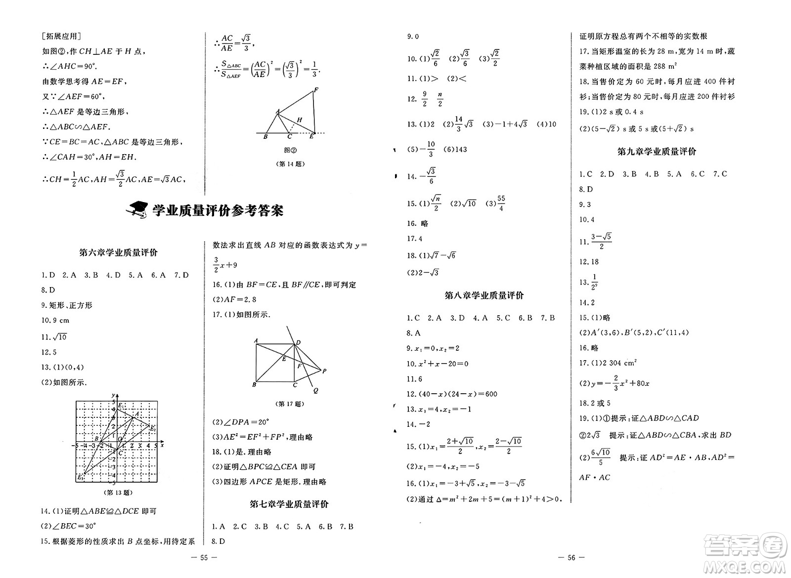 北京師范大學(xué)出版社2025年春初中同步練習(xí)冊八年級數(shù)學(xué)下冊魯教版五四制答案