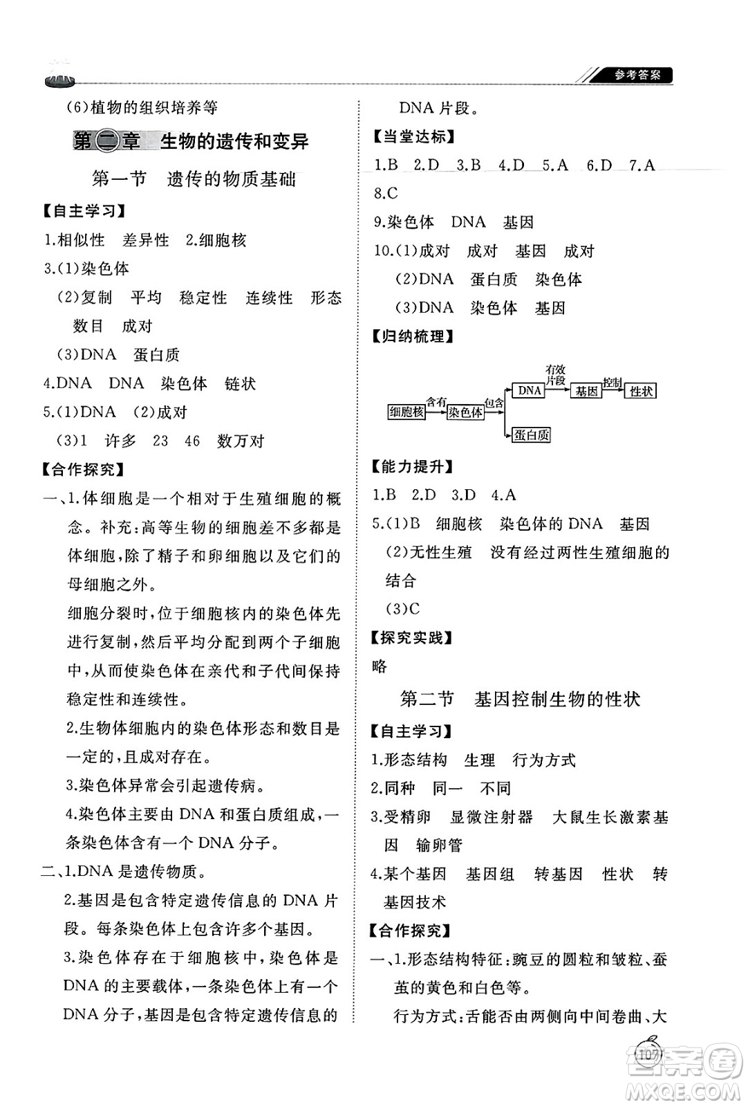 山東友誼出版社2025年春初中同步練習(xí)冊(cè)八年級(jí)生物下冊(cè)魯科版五四制答案