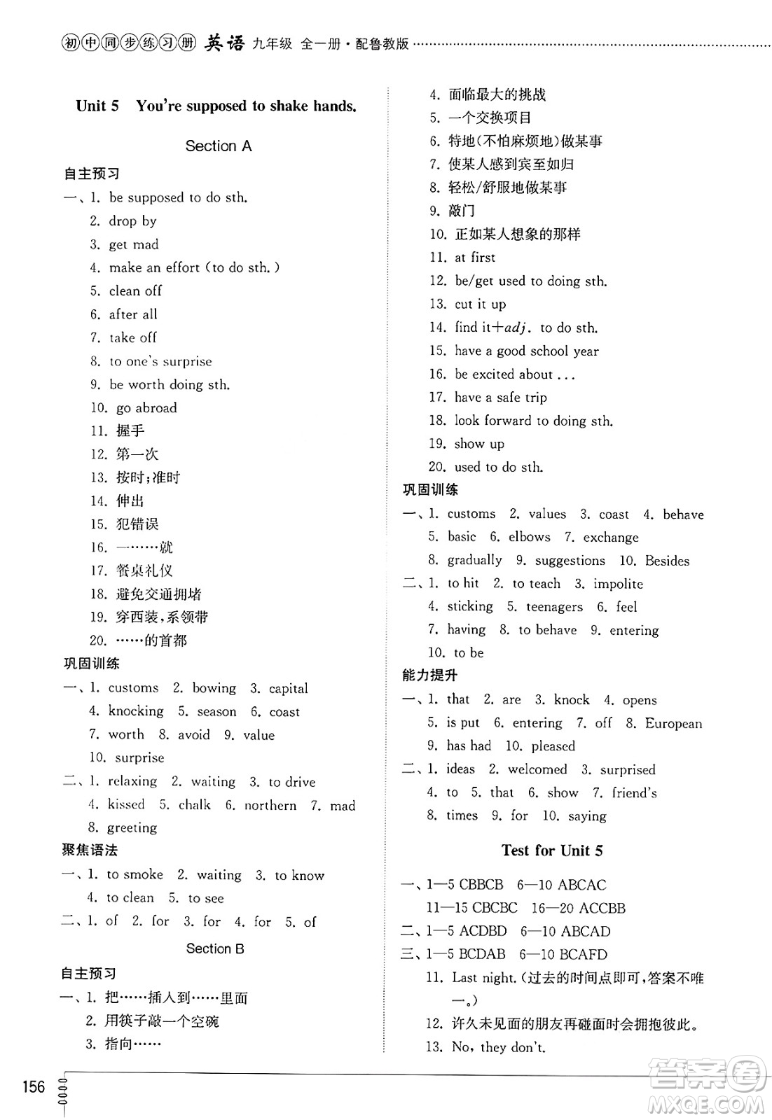 山東教育出版社2025年春初中同步練習(xí)冊(cè)九年級(jí)英語下冊(cè)魯教版五四制答案