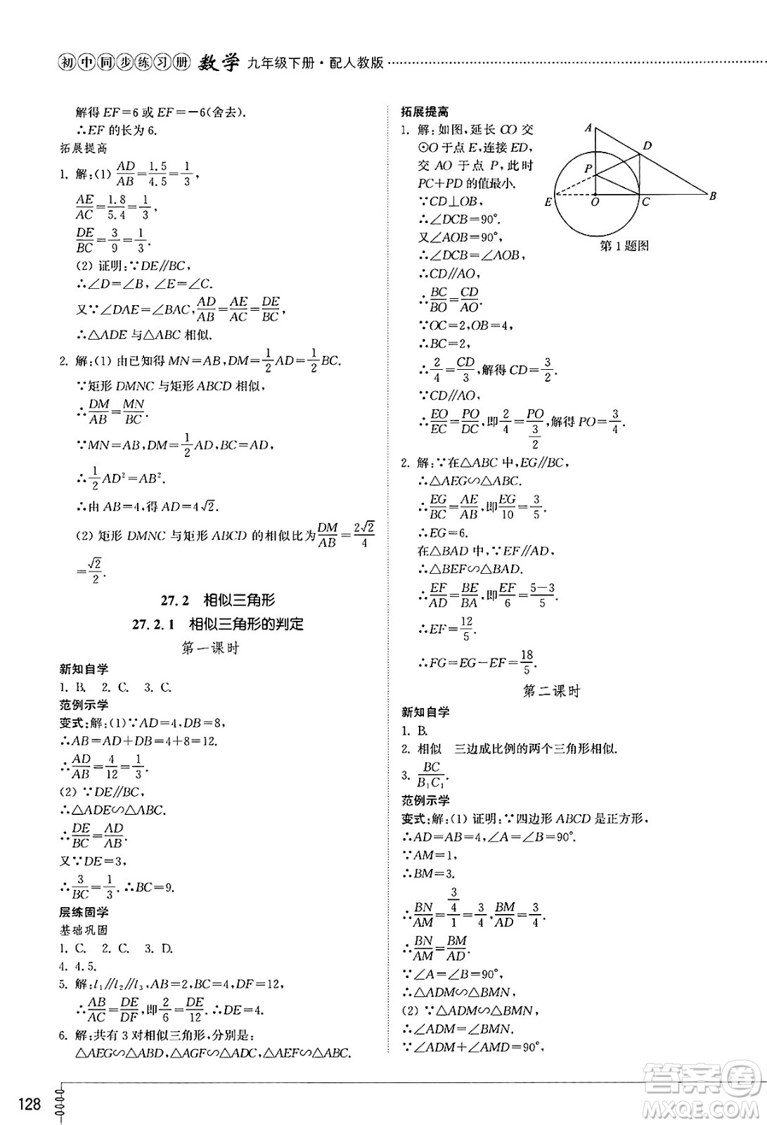山東教育出版社2025年春初中同步練習冊九年級數學下冊人教版山東專版答案