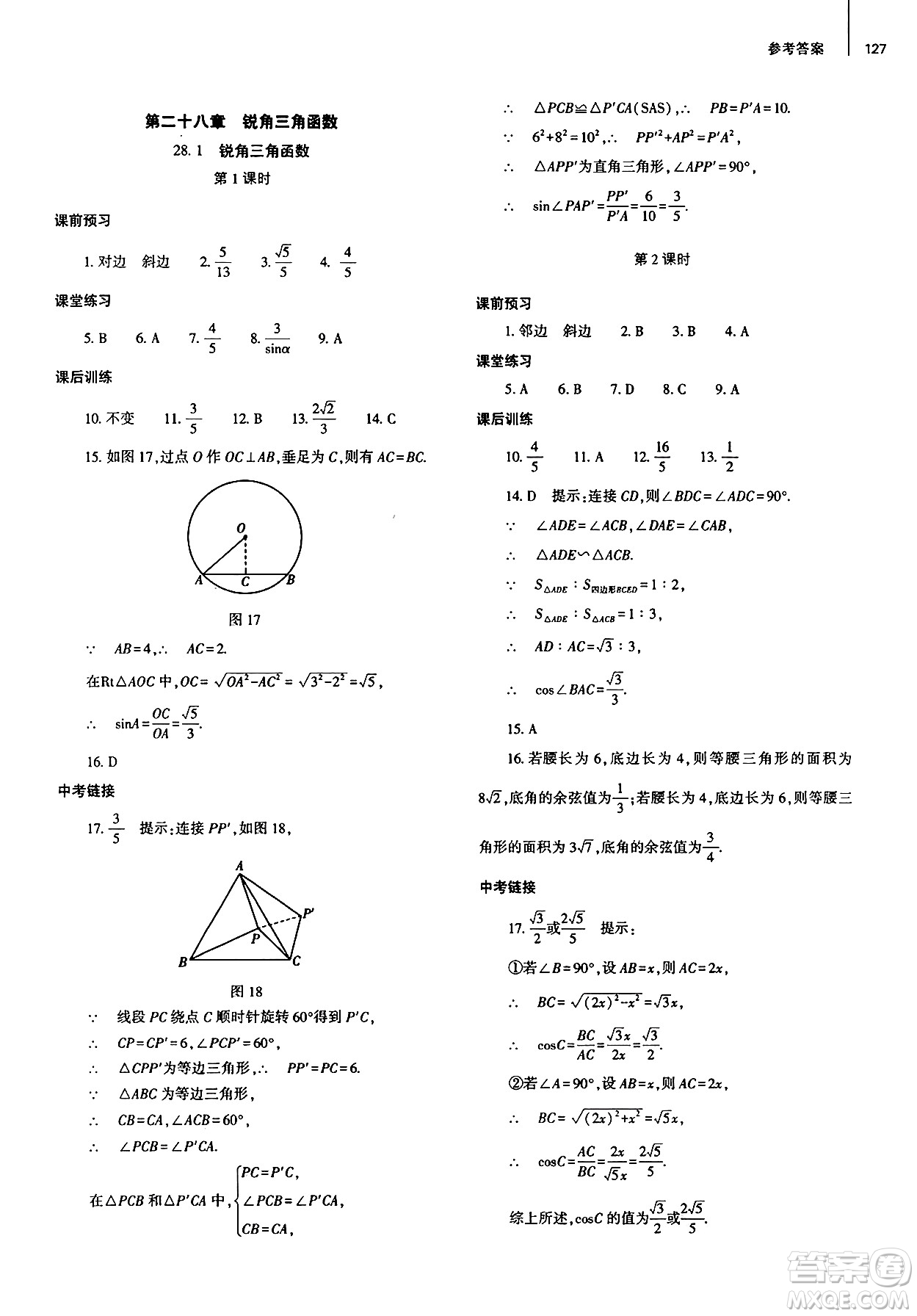 大象出版社2025年春初中同步練習(xí)冊九年級數(shù)學(xué)下冊人教版山東專版答案