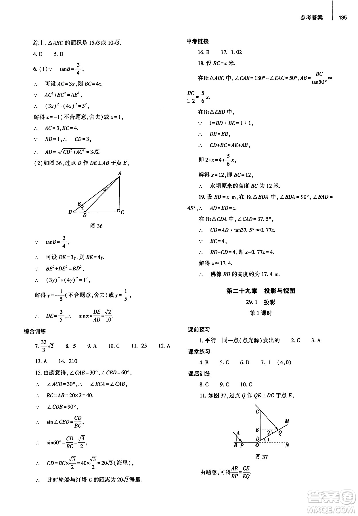 大象出版社2025年春初中同步練習(xí)冊九年級數(shù)學(xué)下冊人教版山東專版答案