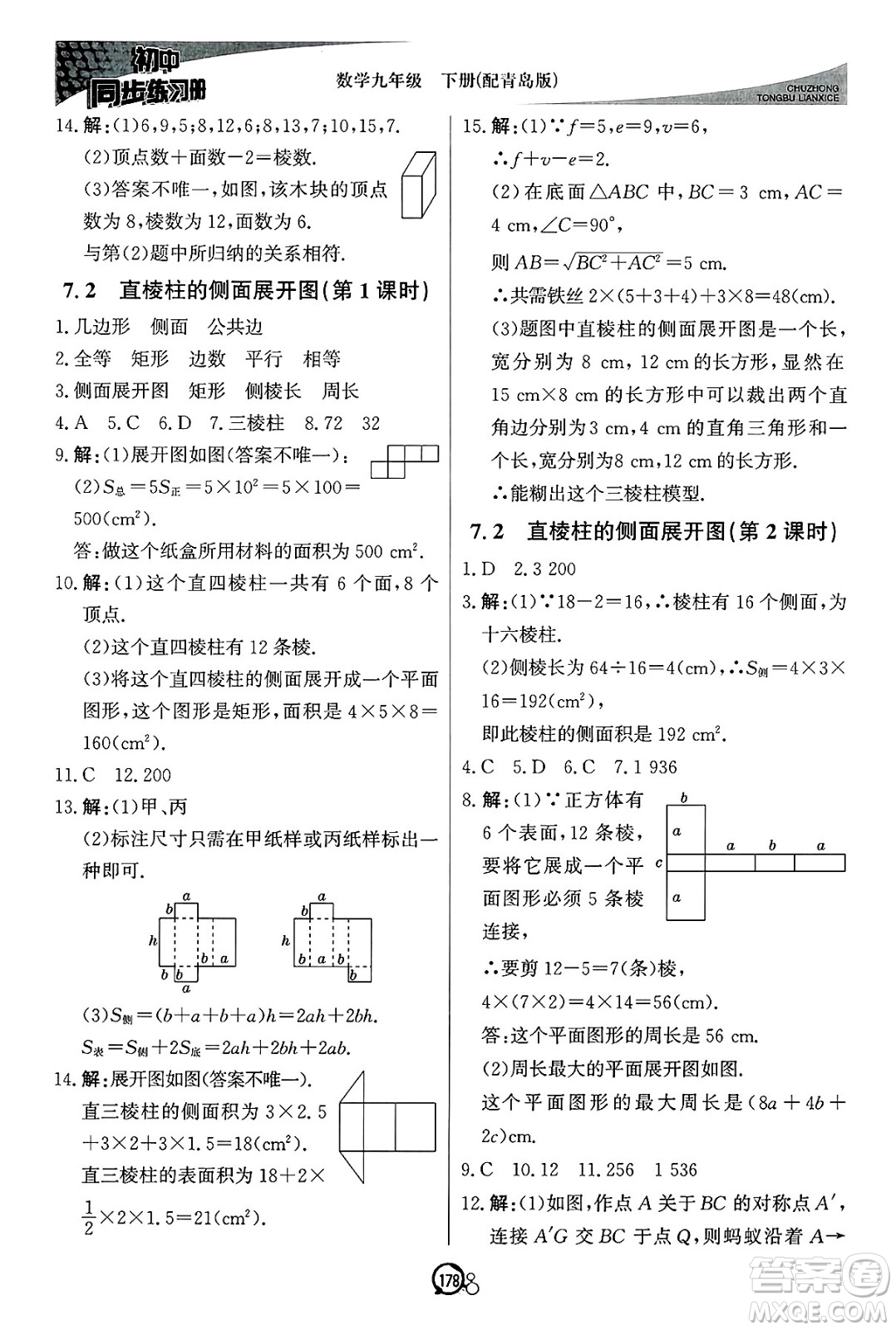 北京教育出版社2025年春初中同步練習(xí)冊(cè)九年級(jí)數(shù)學(xué)下冊(cè)青島版答案