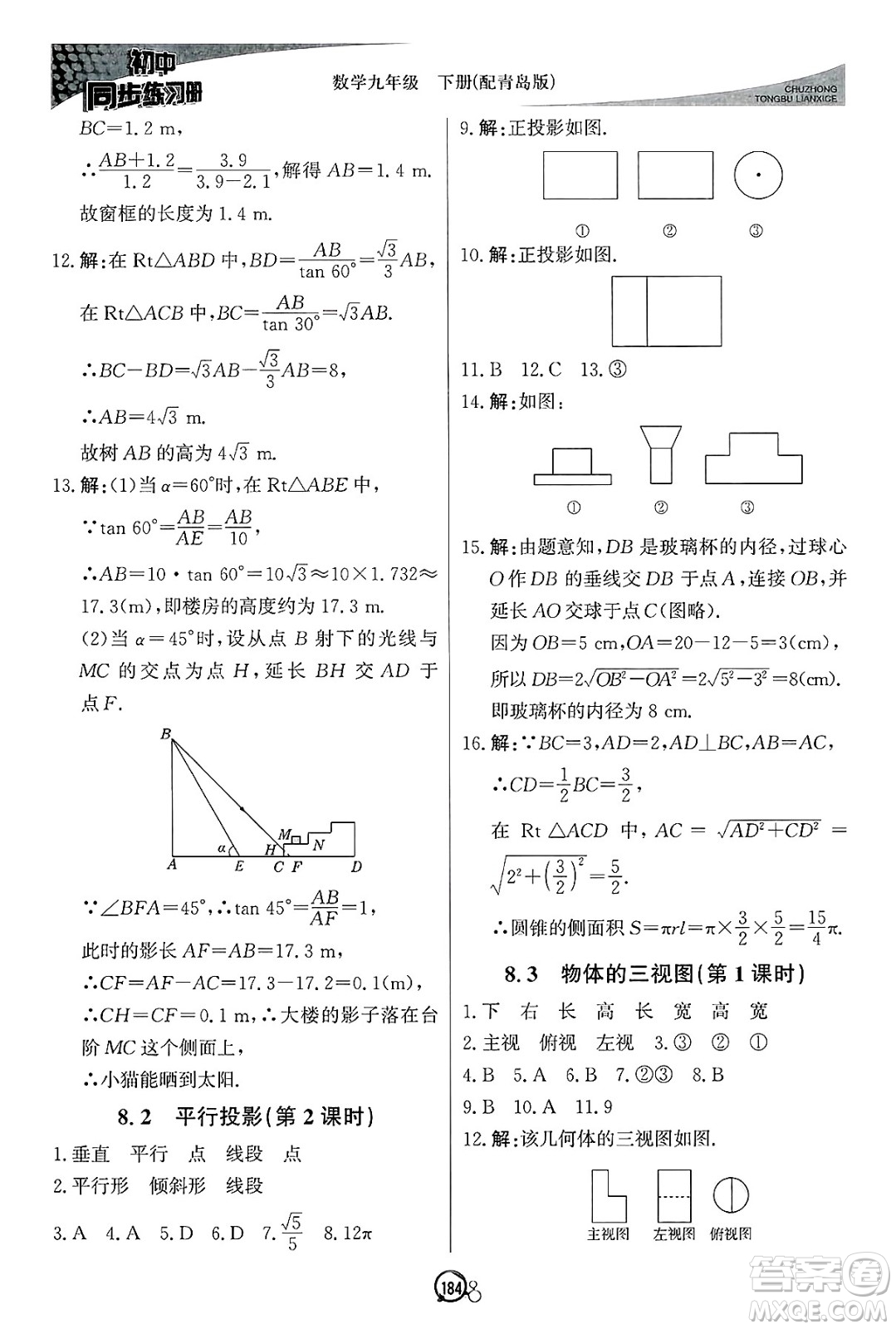 北京教育出版社2025年春初中同步練習(xí)冊(cè)九年級(jí)數(shù)學(xué)下冊(cè)青島版答案