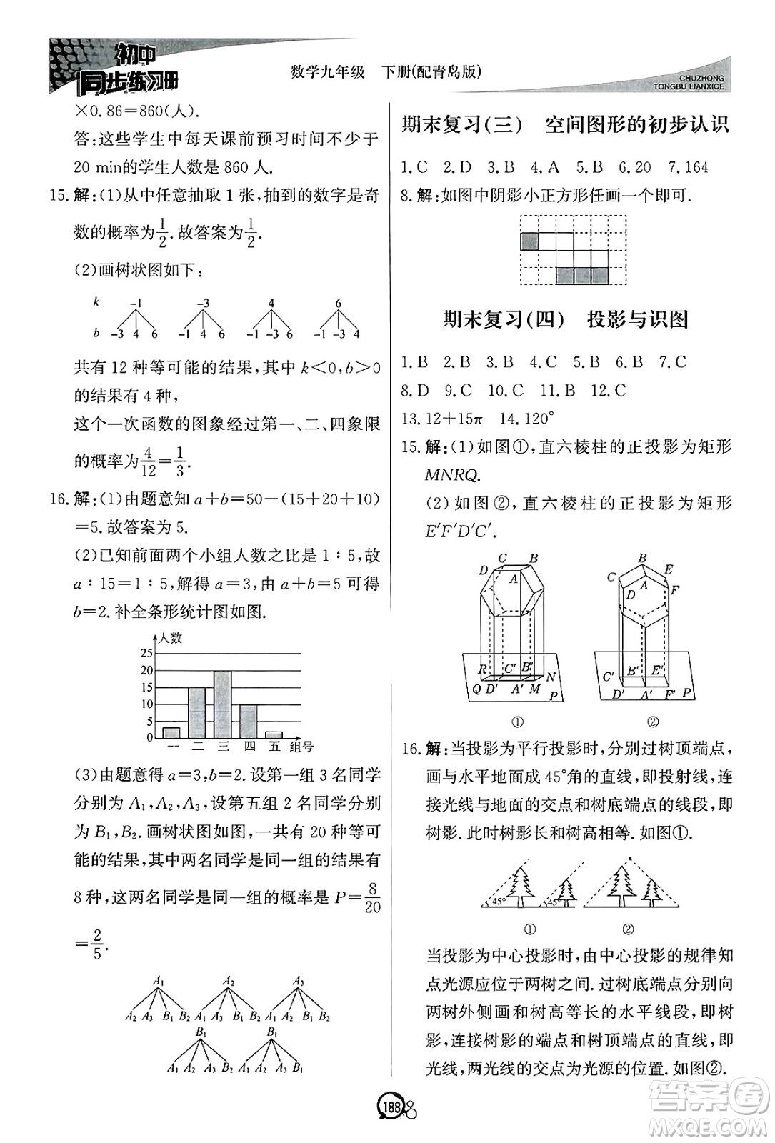 北京教育出版社2025年春初中同步練習(xí)冊(cè)九年級(jí)數(shù)學(xué)下冊(cè)青島版答案
