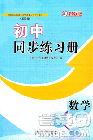 山東教育出版社2025年春初中同步練習(xí)冊(cè)九年級(jí)數(shù)學(xué)下冊(cè)魯教版五四制答案