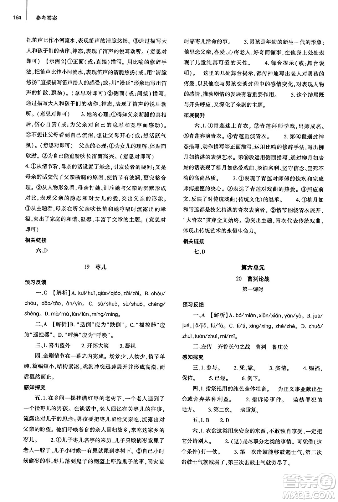大象出版社2025年春初中同步練習(xí)冊九年級語文下冊人教版山東專版答案
