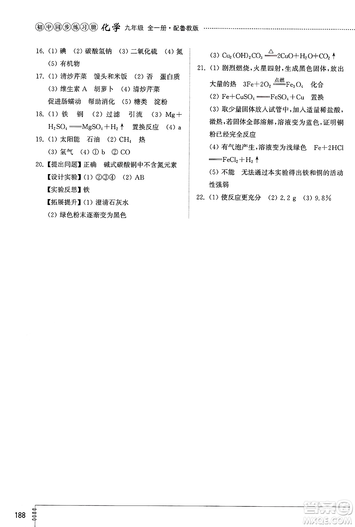 山東教育出版社2025年春初中同步練習(xí)冊九年級化學(xué)下冊魯教版五四制答案