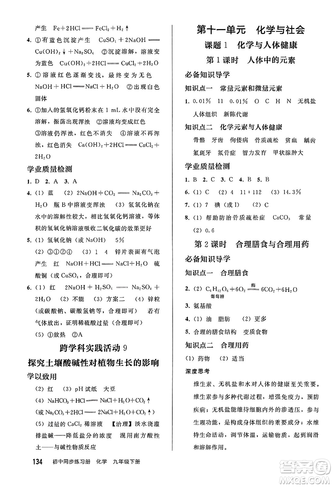 人民教育出版社2025年春初中同步練習(xí)冊九年級化學(xué)下冊人教版答案
