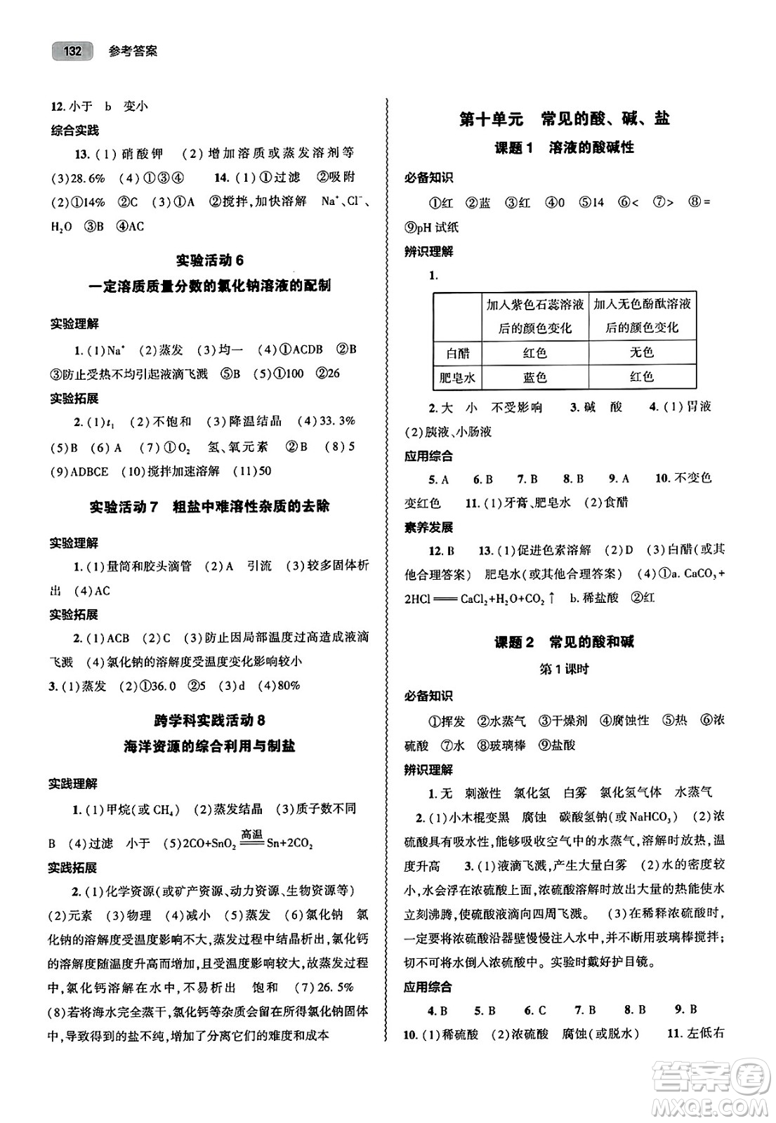 大象出版社2025年春初中同步練習(xí)冊(cè)九年級(jí)化學(xué)下冊(cè)人教版山東專(zhuān)版答案