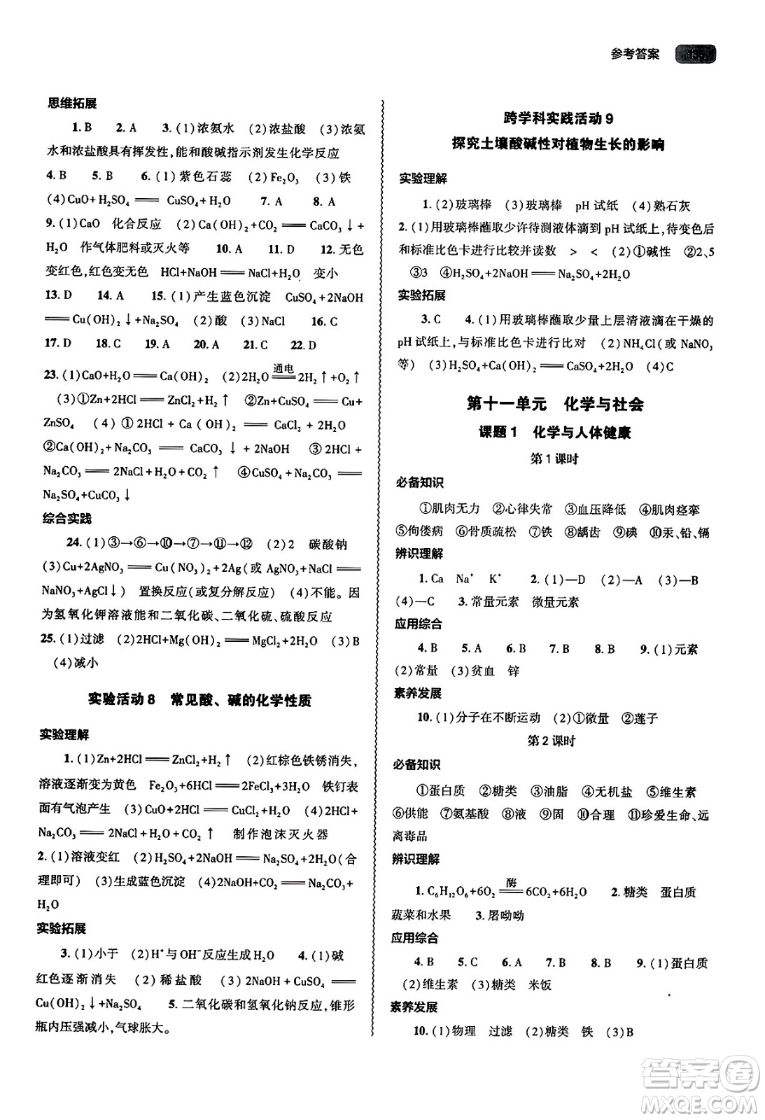 大象出版社2025年春初中同步練習(xí)冊(cè)九年級(jí)化學(xué)下冊(cè)人教版山東專(zhuān)版答案