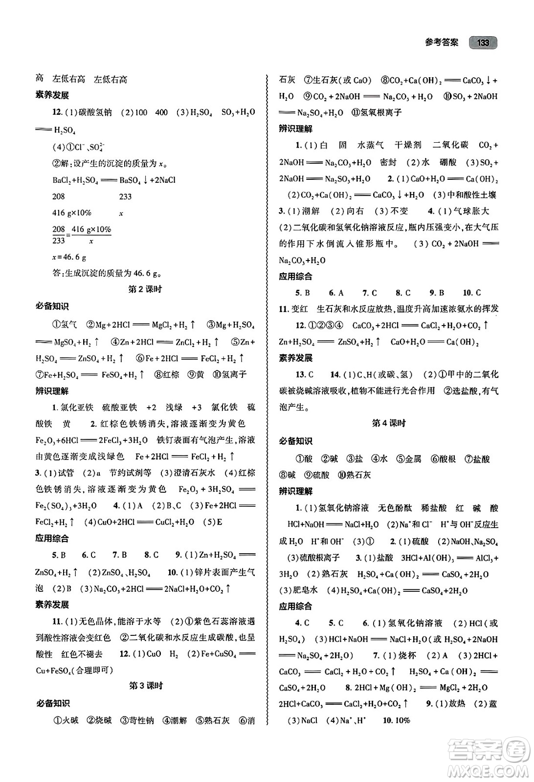 大象出版社2025年春初中同步練習(xí)冊(cè)九年級(jí)化學(xué)下冊(cè)人教版山東專(zhuān)版答案