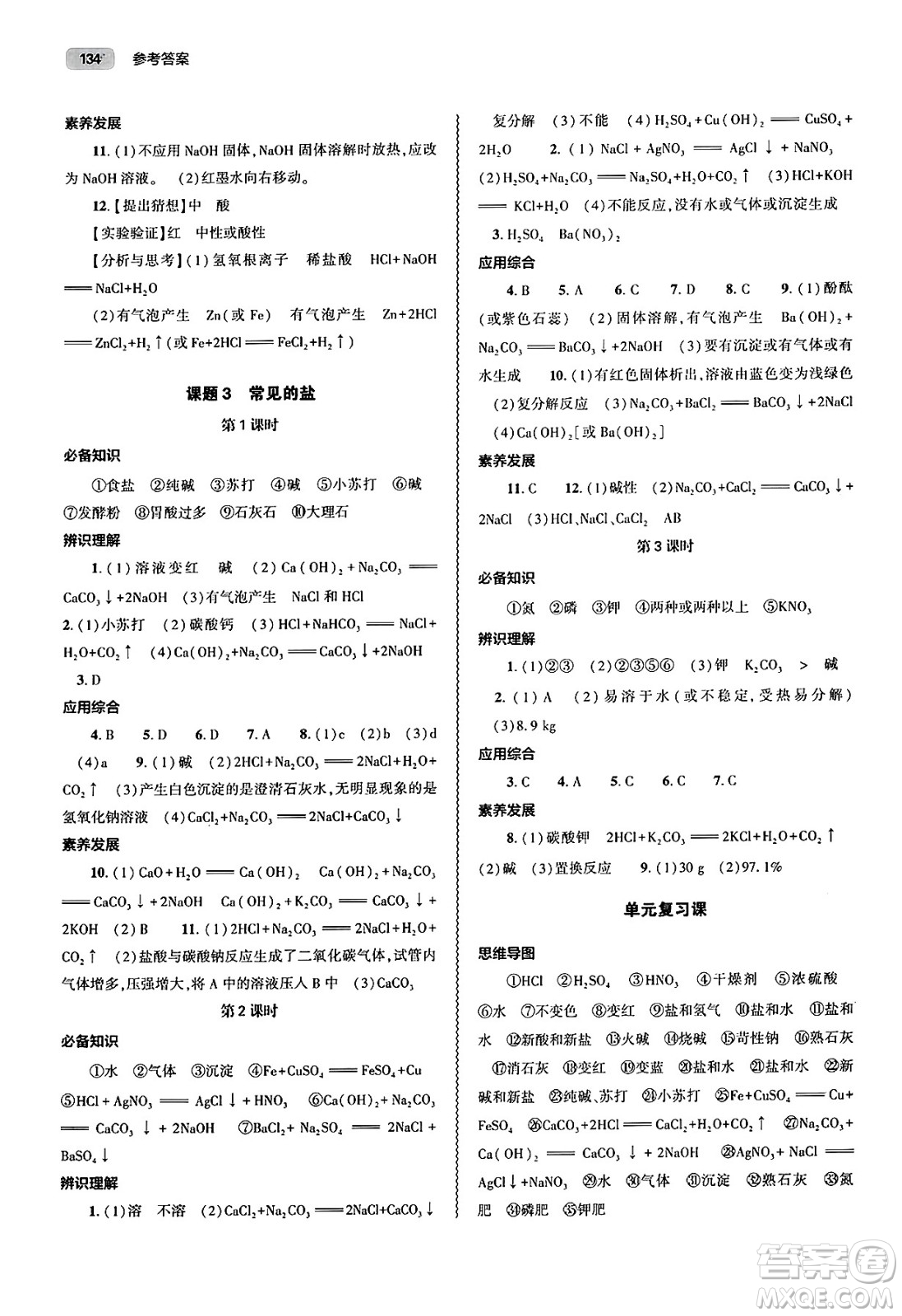 大象出版社2025年春初中同步練習(xí)冊(cè)九年級(jí)化學(xué)下冊(cè)人教版山東專(zhuān)版答案