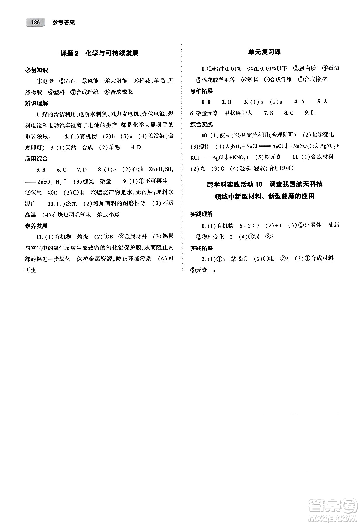 大象出版社2025年春初中同步練習(xí)冊(cè)九年級(jí)化學(xué)下冊(cè)人教版山東專(zhuān)版答案