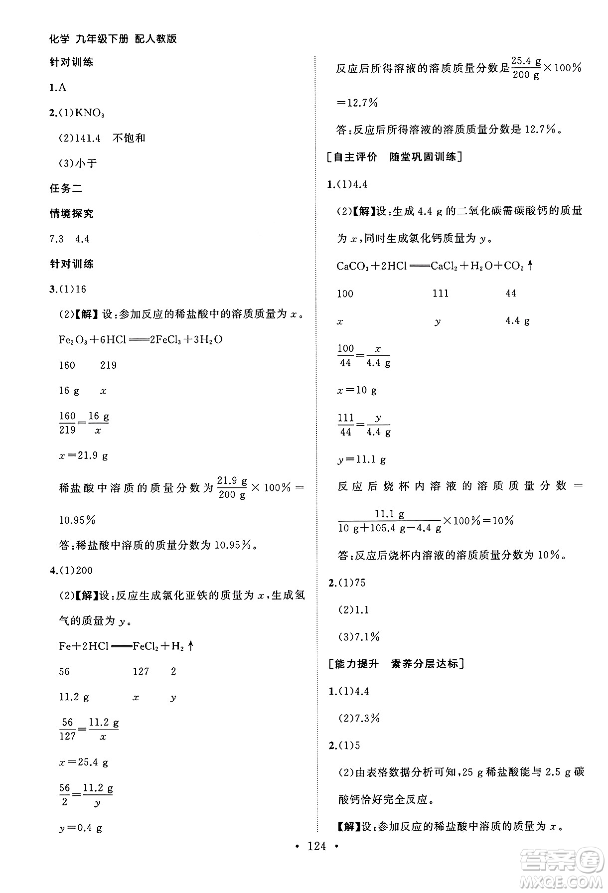 山東人民出版社2025年春初中同步練習(xí)冊九年級化學(xué)下冊人教版山東專版答案